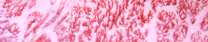 �Ί_���T�[���C���X�e�[�L�g��摜